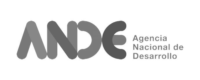 Logo de Ande Grises