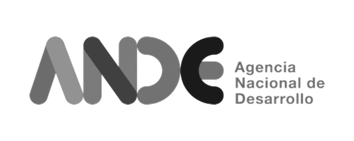Logo de Ande Grises
